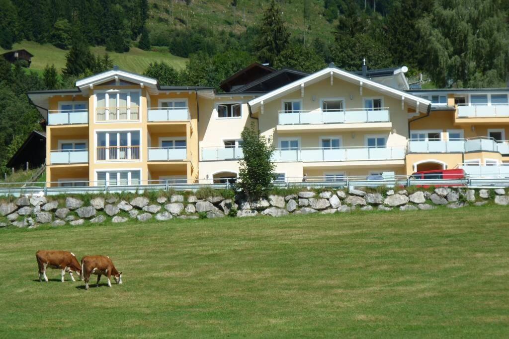 Apartment Hohe Tauern Piesendorf Exterior photo